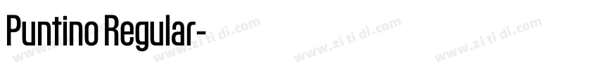 Puntino Regular字体转换